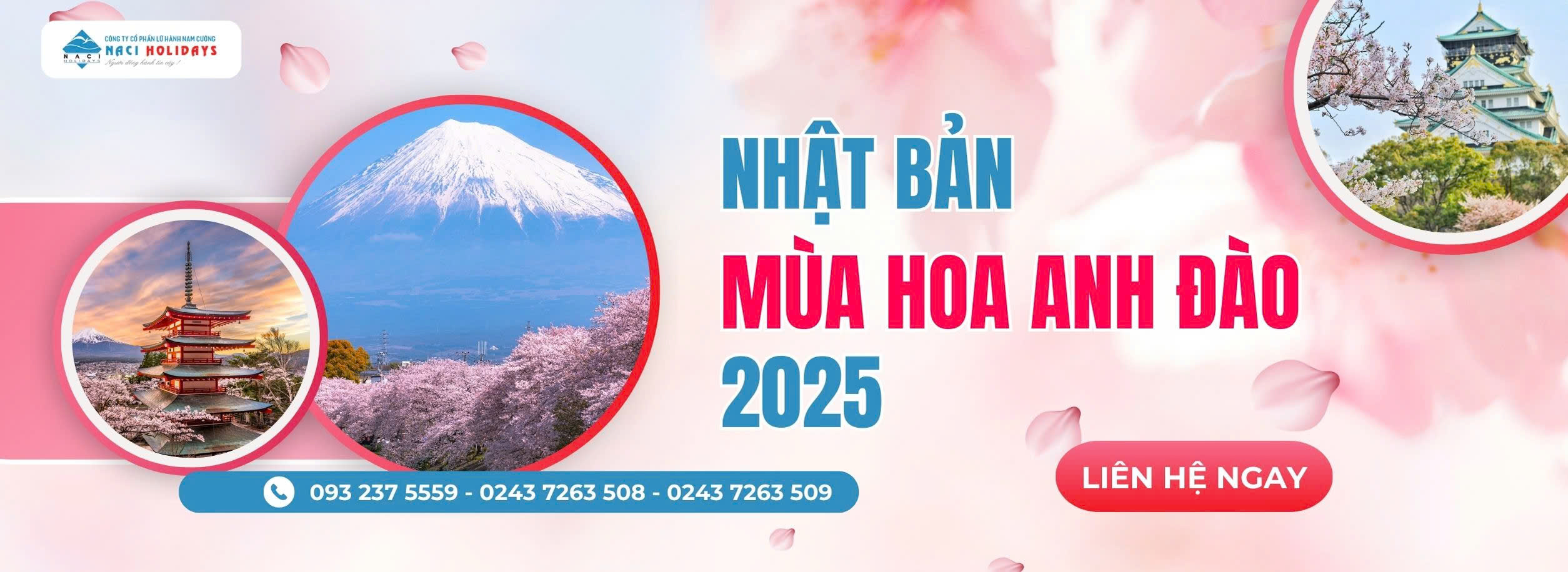 Du Lịch Nhật Bản Mùa Thu - Mùa Lá Đỏ