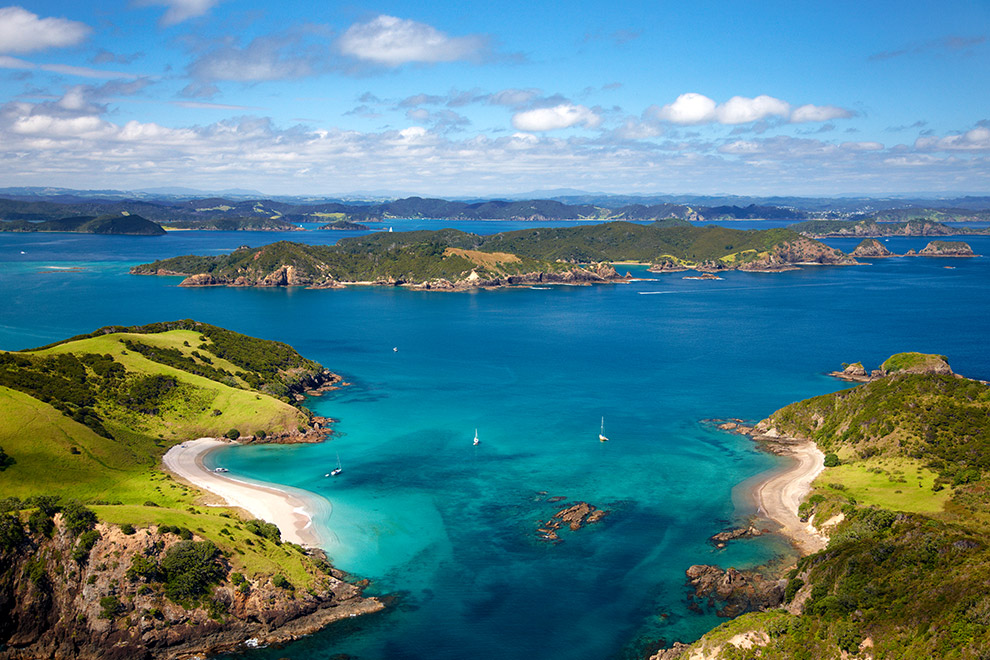 Bay of Islands có hệ sinh thái vô cùng phong phú