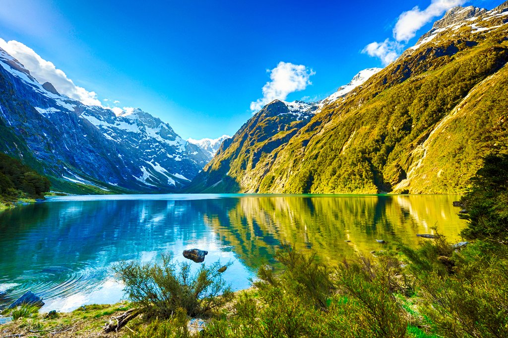 Sông băng Fox Glacier và Franz Josef  - hai con sông tuyệt đẹp của New Zealand