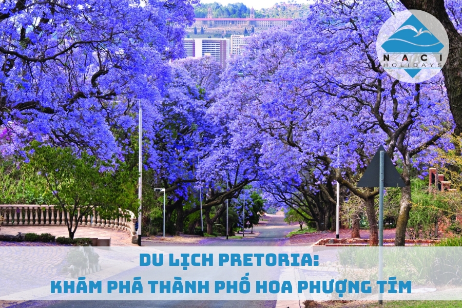 Du Lịch Pretoria: Khám Phá Thành Phố Hoa Phượng Tím