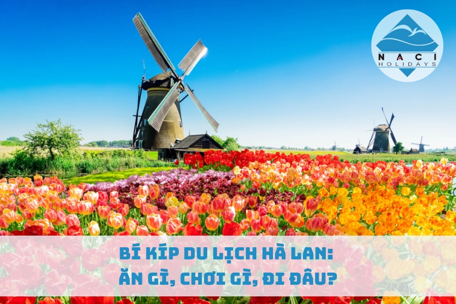 Bí Kíp Du Lịch Hà Lan: Ăn Gì, Chơi Gì, Đi Đâu?