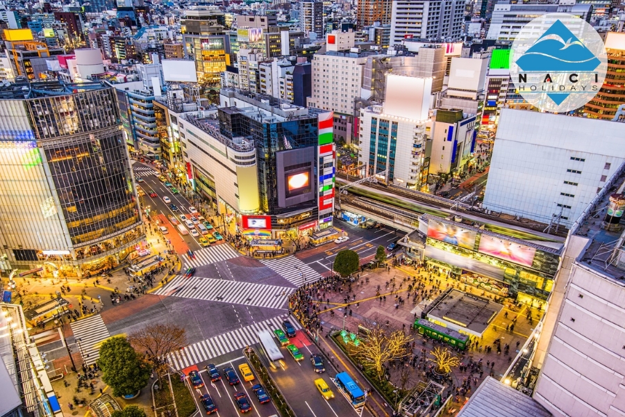 Cẩm Nang Du lịch Tokyo: Từ Đền Chùa Cổ Kính Đến Ẩm Thực Đường Phố