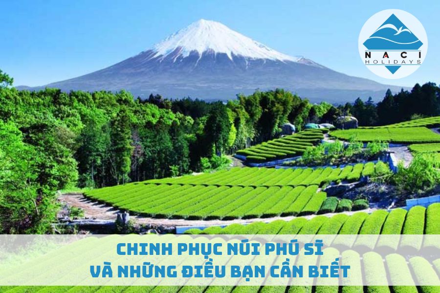 Chinh Phục Núi Phú Sĩ Và Những Điều Bạn Cần Biết