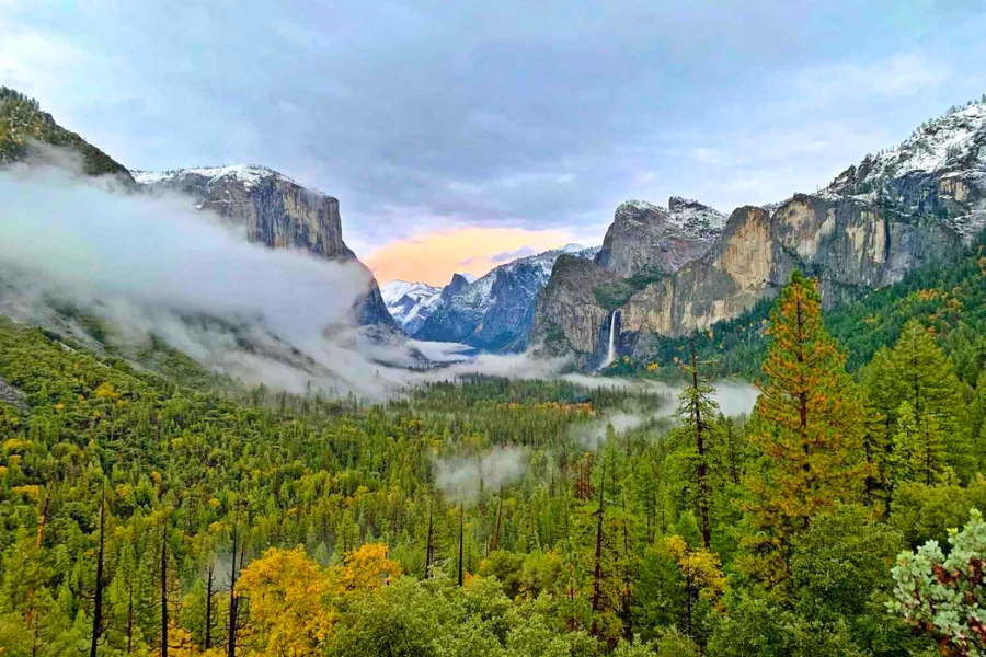 Du Lịch California - "Tiểu Bang Vàng" Của Mỹ