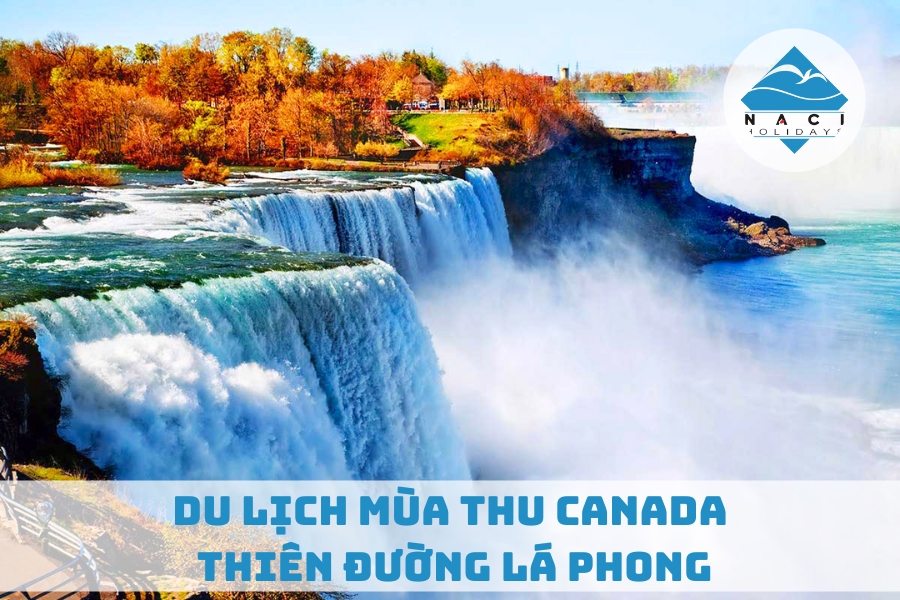 Du Lịch Mùa Thu Canada - Thiên Đường Lá Phong