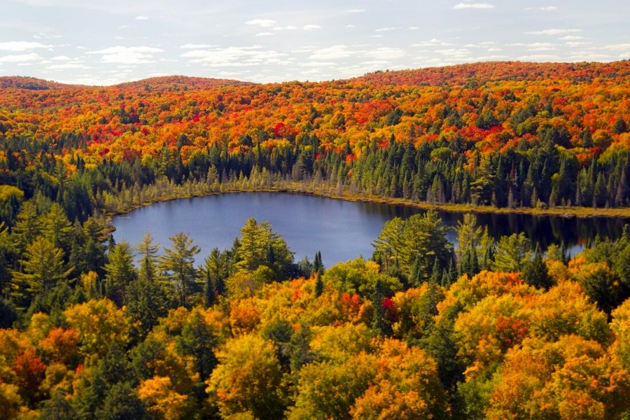 Du Lịch Mùa Thu Canada - Thiên Đường Lá Phong