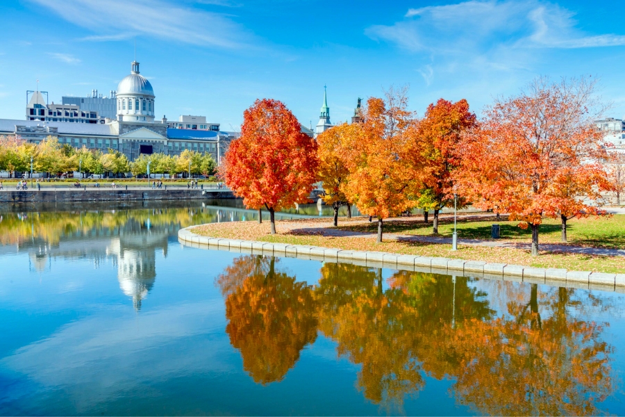 Du Lịch Mùa Thu Canada - Thiên Đường Lá Phong