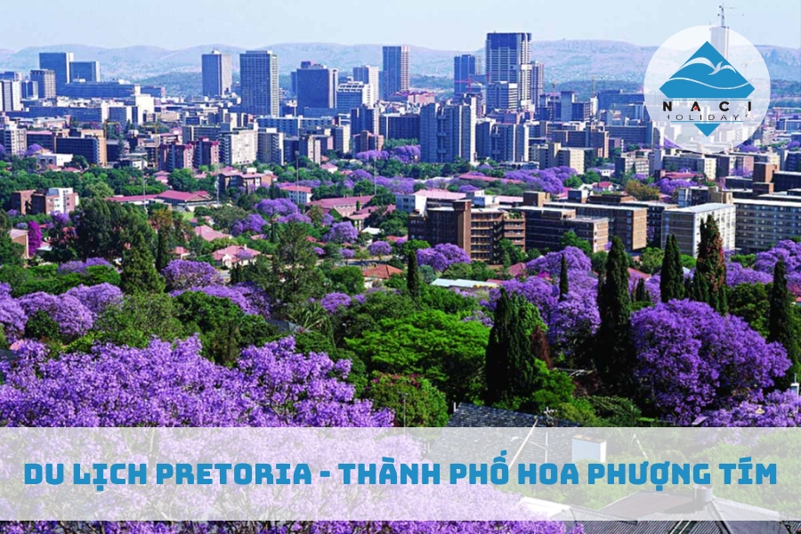 Du Lịch Pretoria - Thành Phố Hoa Phượng Tím