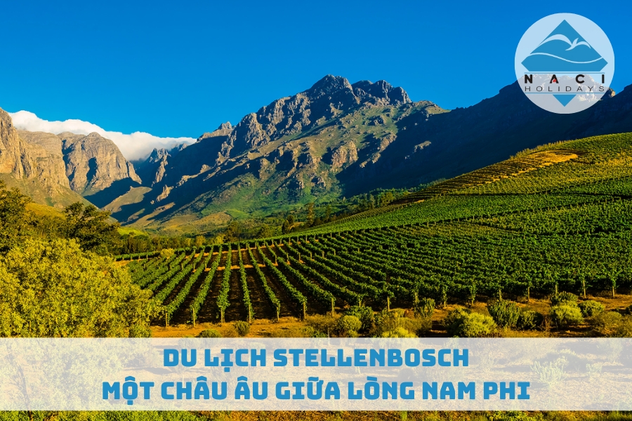 Du Lịch Stellenbosch – Một Châu Âu Giữa Lòng Nam Phi