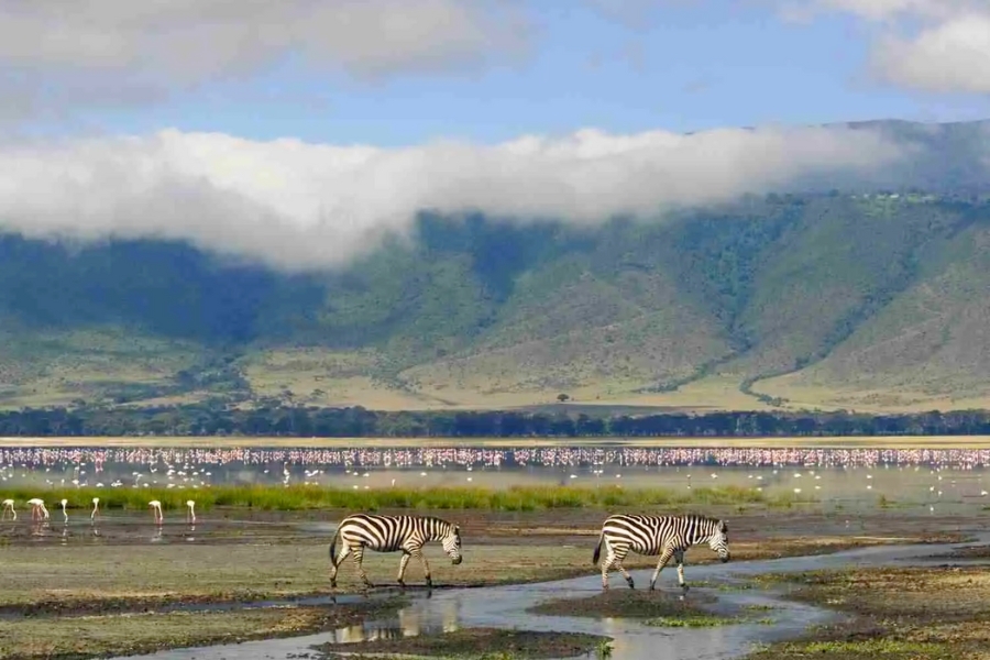 Du lịch Tanzania - Thiên Nhiên Hoang Dã Độc Đáo Của Châu Phi