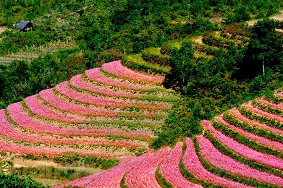 Du Lịch Trong Nước Mùa Thu Nên Ghé Nơi Nào?