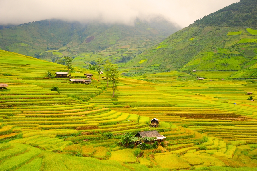 Du Lịch Trong Nước Mùa Thu Nên Ghé Nơi Nào?