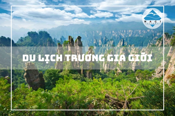 Du Lịch Trương Gia Giới - Nơi Kỳ Quan Thế Giới Hội Tụ