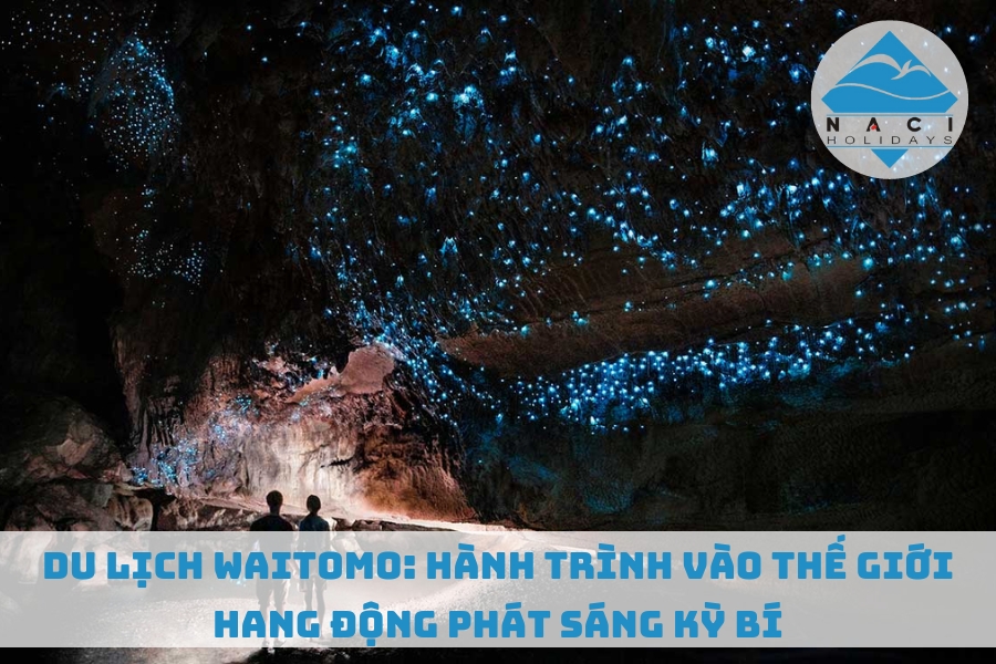 Du Lịch Waitomo: Hành Trình Vào Thế Giới Hang Động Phát Sáng Kỳ Bí