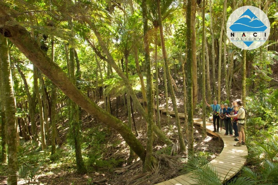 Du Lịch Waitomo: Hành Trình Vào Thế Giới Hang Động Phát Sáng Kỳ Bí