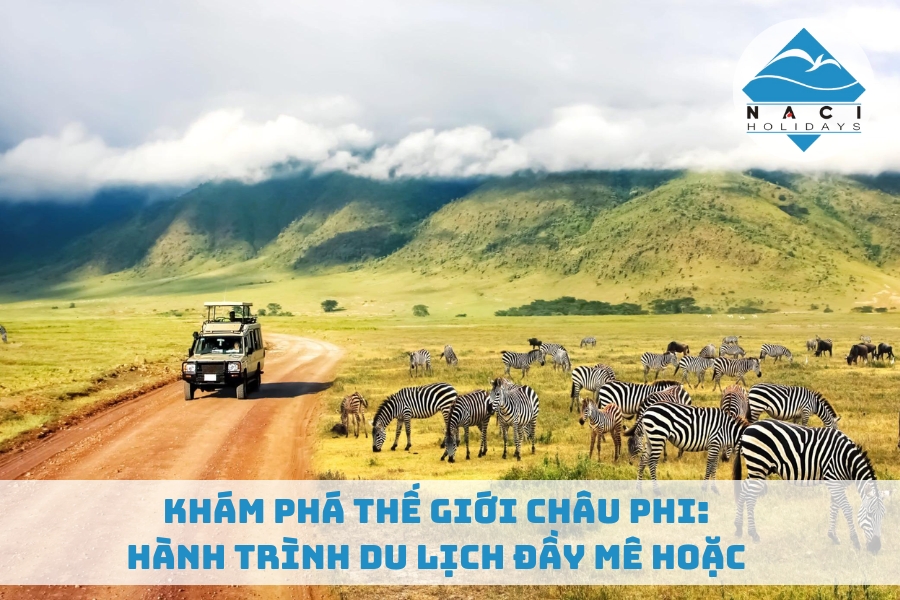 Khám Phá Thế Giới Châu Phi: Hành Trình Du Lịch Đầy Mê Hoặc