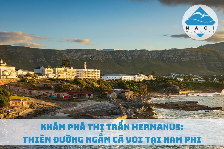 Khám Phá Thị Trấn Hermanus: Thiên Đường Ngắm Cá Voi Tại Nam Phi