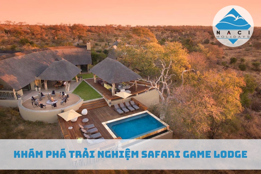 Khám Phá Trải Nghiệm Safari Game Lodge