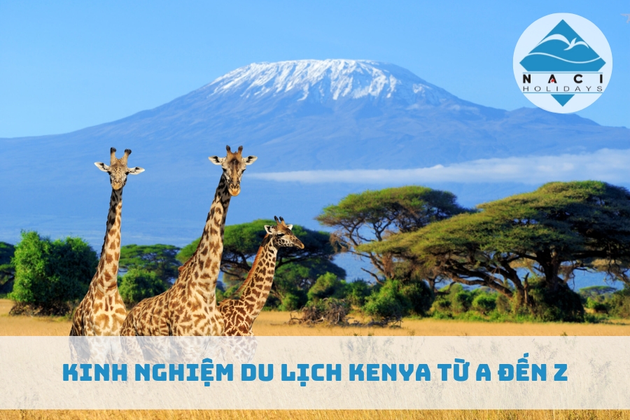 Kinh Nghiệm Du Lịch Kenya Từ A Đến Z