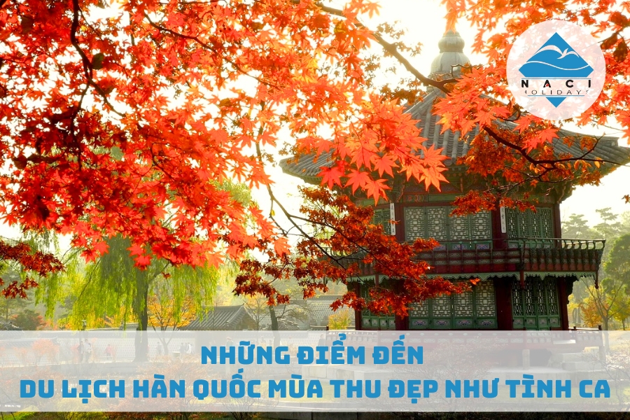 Những Điểm Đến Du Lịch Hàn Quốc Mùa Thu Đẹp Như Tình Ca