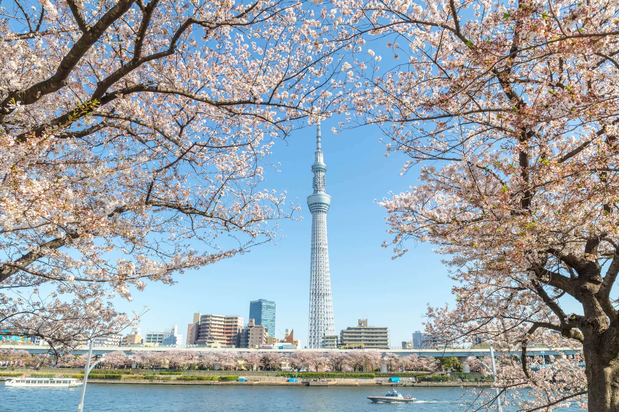 Tháp Tokyo Sky Tree