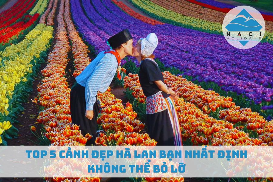 Top 5 Cảnh Đẹp Hà Lan Bạn Nhất Định Không Thể Bỏ Lỡ