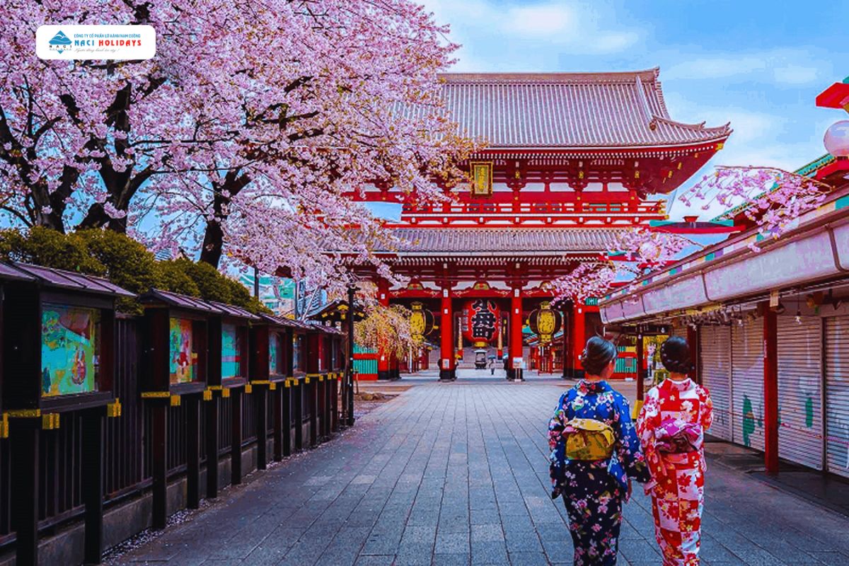 DỊU DÀNG SẮC THU NHẬT BẢN 2024: Osaka – Kyoto – Phú Sĩ – Tokyo (Về chiều)