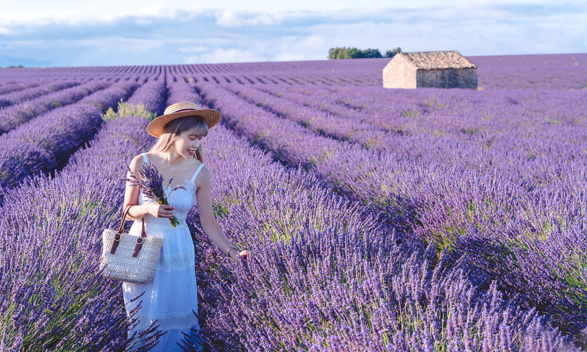 Lãng mạn sắc tím oải hương trên những cánh đồng ở Provence