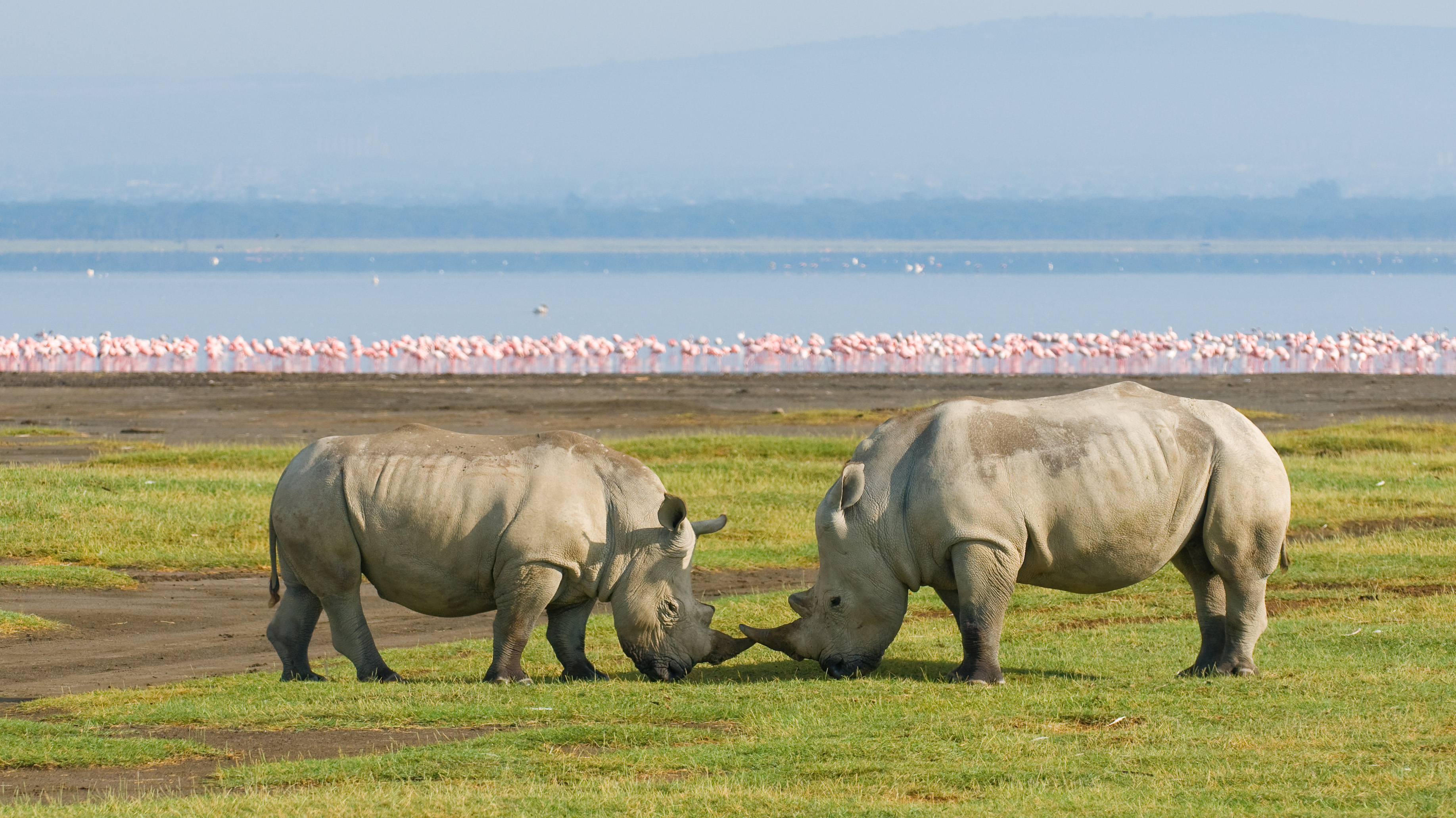 Nakuru 