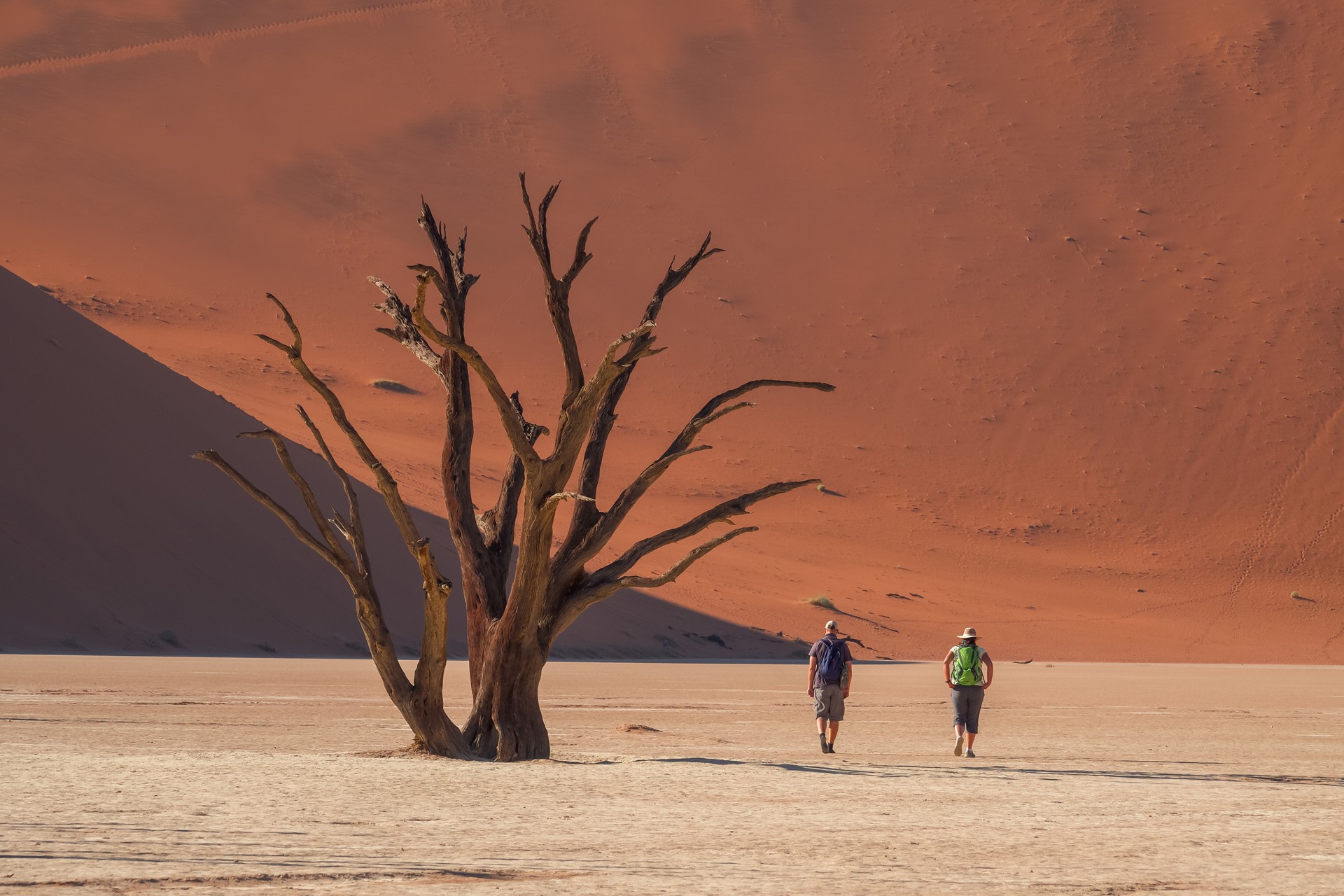 Khám Phá Châu Phi: Lạc Vào Vùng Đất Siêu Thực Namibia: Windhoek - Sesriem - Sossusvlei - Swakopmund