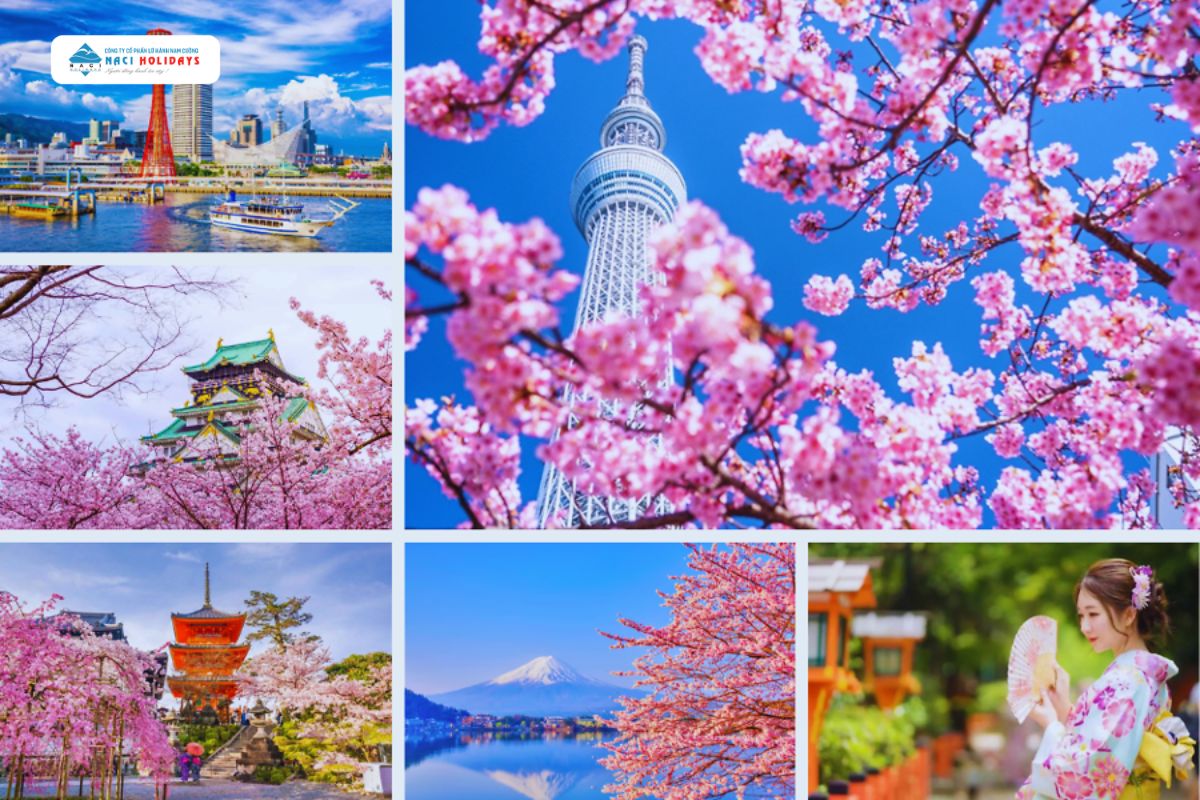 KHÁM PHÁ NHẬT BẢN:  HÀ NỘI- OSAKA –KOBE– KYOTO – NÚI PHÚ SĨ – TOKYO