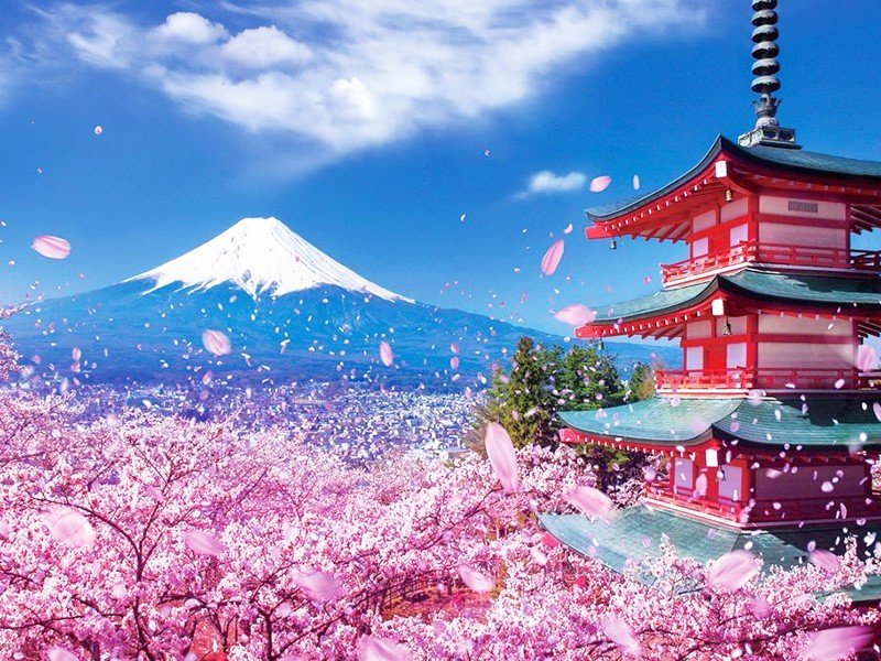 Nhật Bản Kỳ Nghỉ Vàng: Tokyo - Núi Phú Sĩ - Tokyo