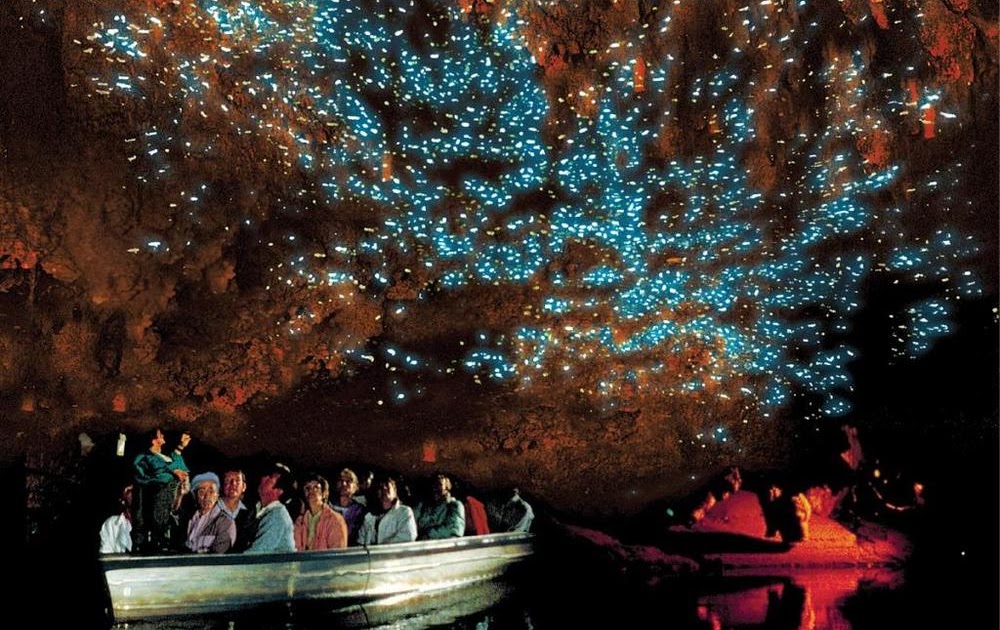 Thị trấn Waitomo với hang động với hàng triệu đom đóm phát sáng 