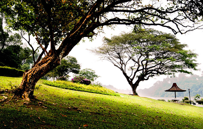 tour du lịch singapore