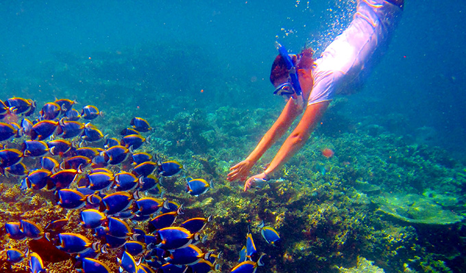 Du lịch tour Maldives Hè